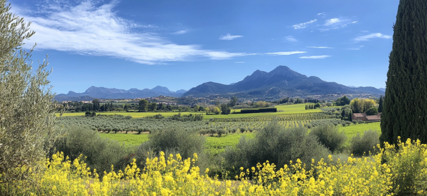 "Today’s Weather Forecast: Enjoy Mainly Clear Skies and Pleasant Temperatures"